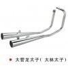 大管龍?zhí)樱ù罅痔樱? onmouseover=