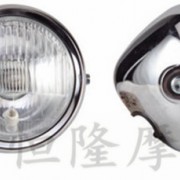 大燈總成 (19)