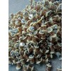 專業(yè)生產(chǎn)摩托車?yán)€，專業(yè)生產(chǎn)增程發(fā)電機(jī)